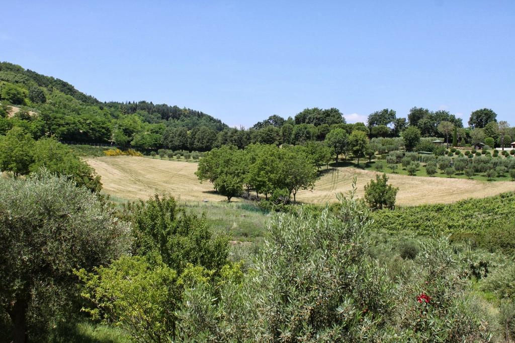 Villa Melagrana Fano Zimmer foto